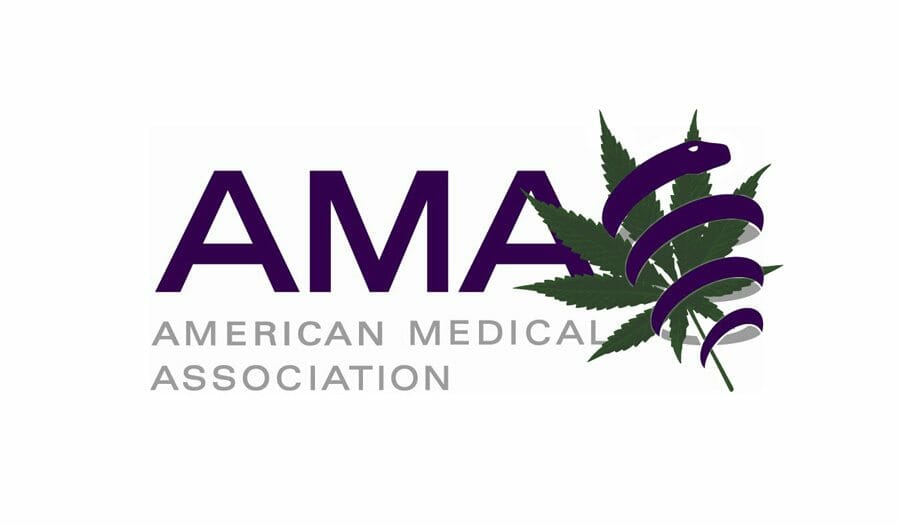 AMA Wants Immunity For Physicians Recommending Cannabis
